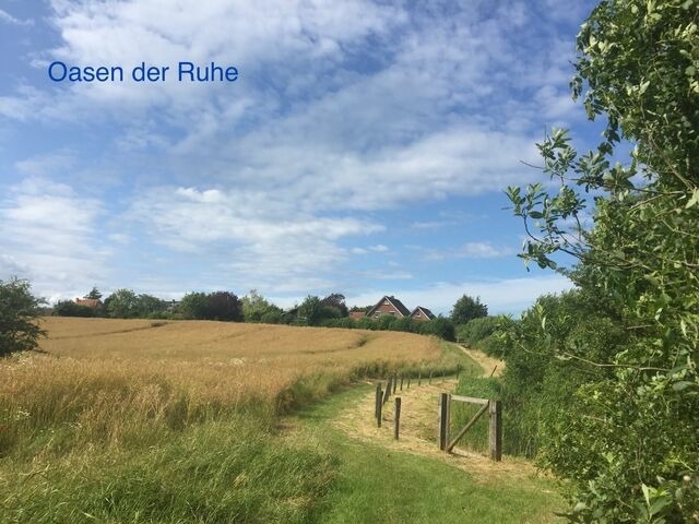 Ferienwohnung in Wendtorf - Whg. Wellenreiter - Haus Nordlichter - Bild 23