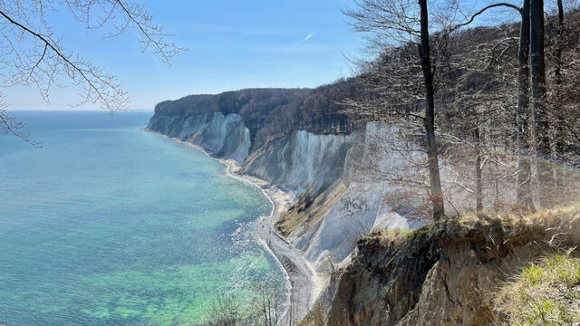 Ferienhaus in Baabe - Meeresblume - Baabe - Bild 24