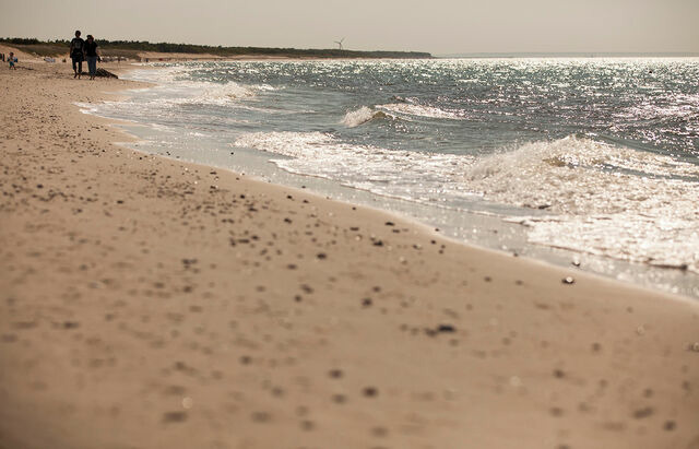 Ferienhaus in Dierhagen - Ferienhaus im Hotelpark - Bild 14