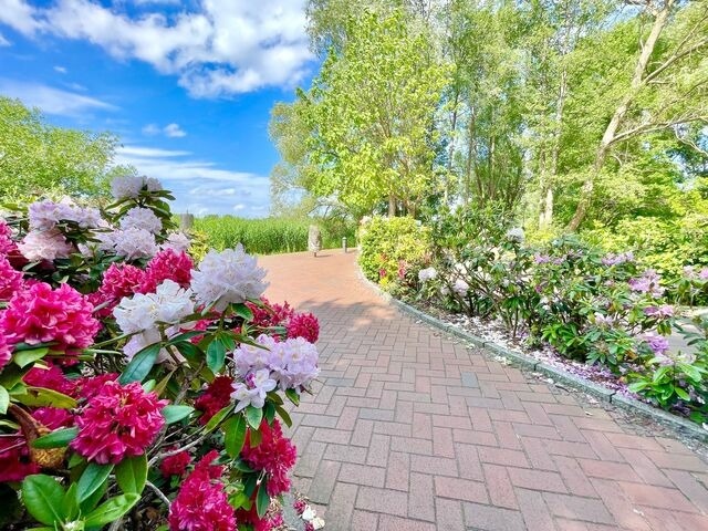 Ferienwohnung in Binz - Schlösschen am Meer - Bild 6