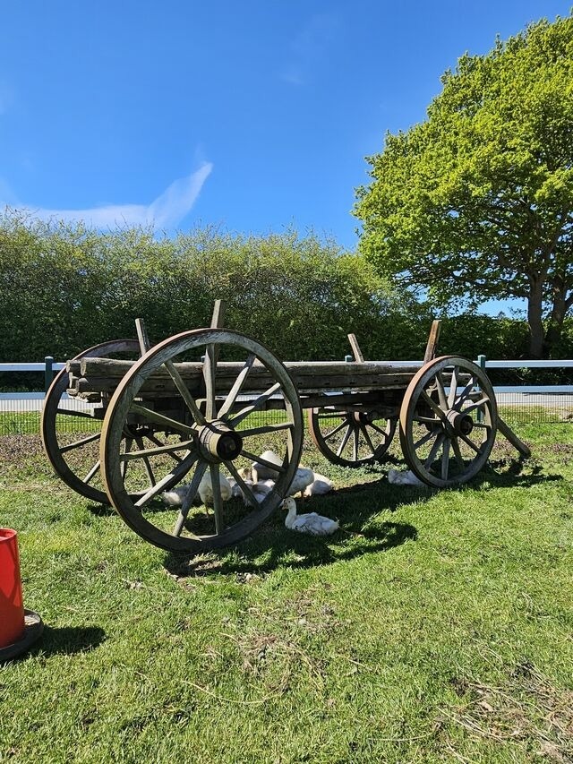 Ferienhaus in Gr&ouml;mitz - Hof Hagen - "Wiesenblick" (Neubau 2025) - Bild 24
