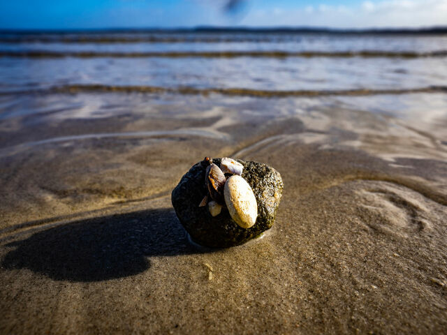 Ferienwohnung in Gl&uuml;cksburg - Ferienwohnung "Leevhuus" - Bild 20
