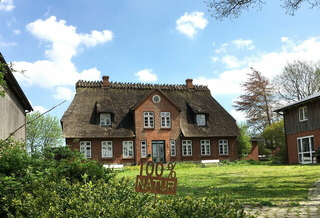 Ferienwohnung in Gelting - Janbecks FAIRhaus - Ferienwohnung Wasser - Bild 13
