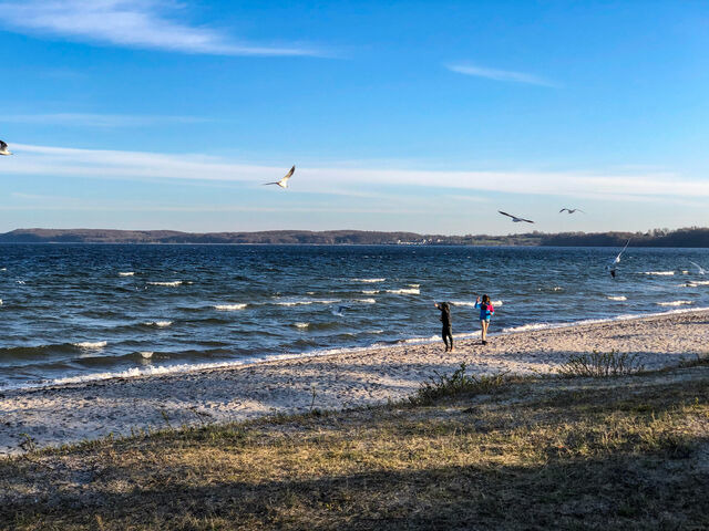 Ferienwohnung in Glücksburg - Ferienwohnung Glücks-Burg "Stern" - Bild 23