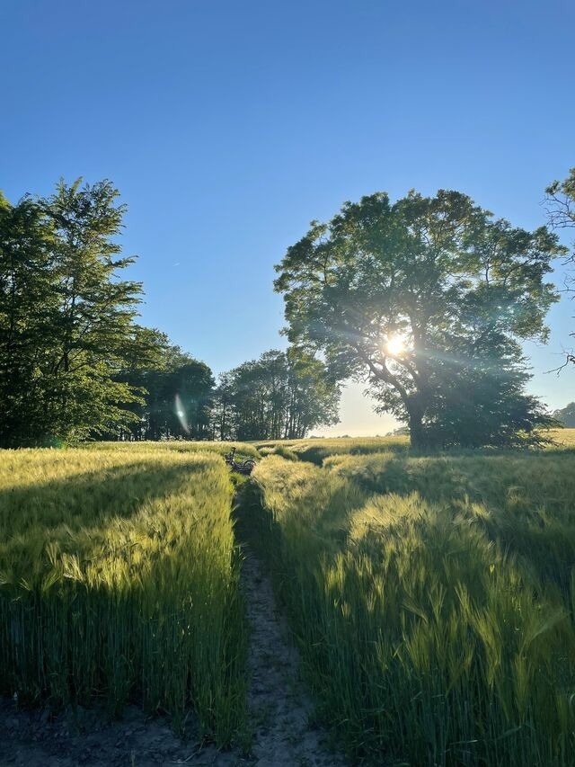 Ferienwohnung in Maasholm - Ferienwohnung mit Ostseeblick #13 - Bild 23