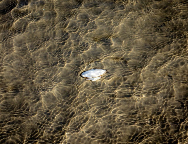 Ferienhaus in Gl&uuml;cksburg - Ferienhaus K&uuml;stenbrise - Bild 25