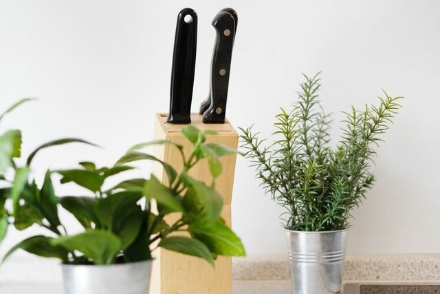 Ferienwohnung in Dahme - Cismarer Stra&szlig;e 32 Sonne und Wind 1 - Bild 19