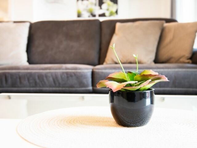 Ferienwohnung in Kellenhusen - Im Sonnengarten Erholungsoase - Bild 7