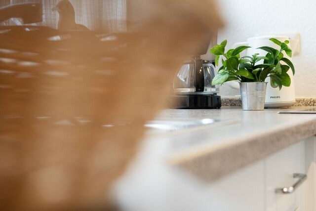 Ferienwohnung in Kellenhusen - Strandresidenz Wohnung 1 - Bild 22