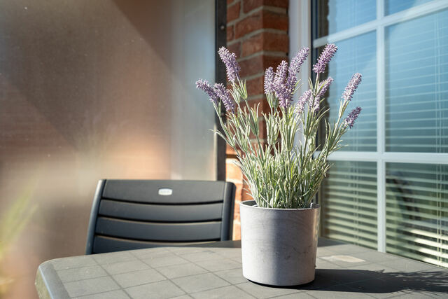 Ferienwohnung in Sch&ouml;nberger Strand - Fliedergang 2 Seebrise - Bild 16