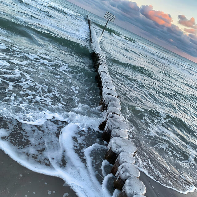 Ferienwohnung in Großenbrode - Möwennest 4 - Großenbrode - Bild 20
