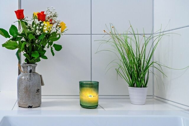 Ferienhaus in Olpenitz - Schleivilla Ahoi by Seeblick Ferien ORO, 3 SZ Sauna, Wasserlage - Bild 17