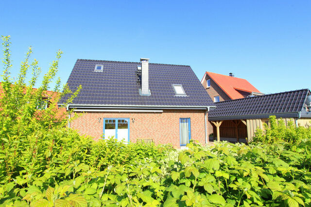 Ferienhaus in Gro&szlig; Schwansee - Ferienhaus Strandmuschel - Bild 4