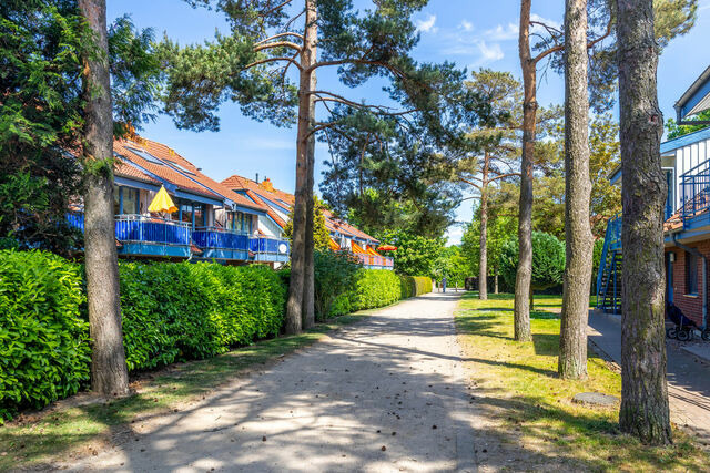 Ferienwohnung in Boltenhagen - Papillon 8-2 Wohnung Ankerplatz - Bild 8