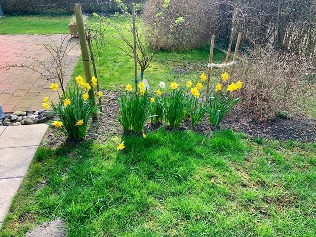 Ferienwohnung in Ostseeheilbad Zingst - Utkiek 2 - Bild 22