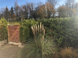 Deichblick 1 2-0-04