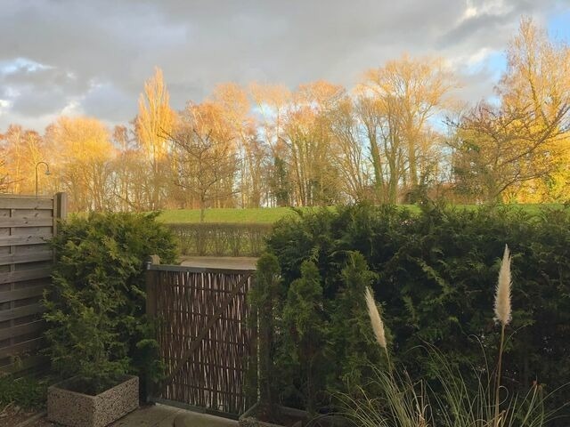 Ferienwohnung in Kellenhusen - Deichblick 1 2-0-04 - Bild 18