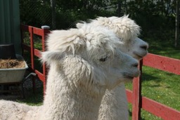 G&ouml;nn dir eine Auszeit mit Familie und Sauna