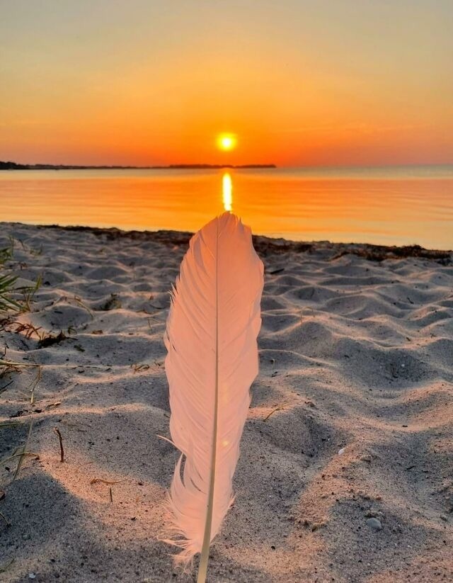 Ferienwohnung in Zierow - Kaj&uuml;te am Strand - ABC57 - Nur Ferieng&auml;ste! - Bild 24