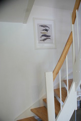 Ferienwohnung in Zierow - Kr&auml;hennest am Strand - ABC52 - Bild 11