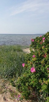 Ferienwohnung in Zierow - Kr&auml;hennest am Strand - ABC52 - Bild 21