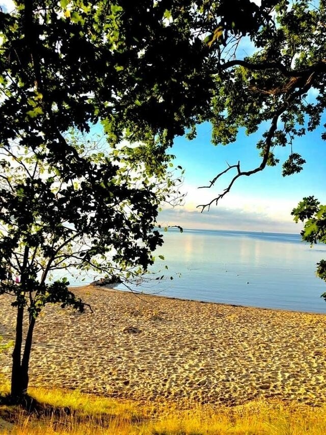 Ferienwohnung in Zierow - Kr&auml;hennest am Strand - ABC52 - Bild 22