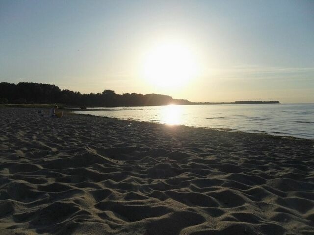 Ferienwohnung in Zierow - M&ouml;we am Strand - ABC58 - Bild 12