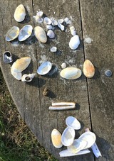 Ferienwohnung in Twedt - Hof L&uuml;cke - Ferienwohnung Blau - Bild 20