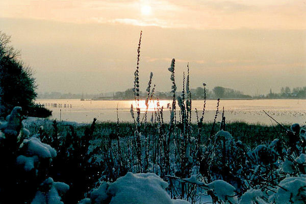 Ferienwohnung in Kappeln OT Kopperby - Ferienwohnung 1 Rosentr&auml;ger 45 qm - Bild 10