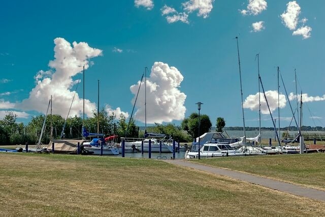 Ferienhaus in Fuhlendorf - Sonnenbirke - Bild 23