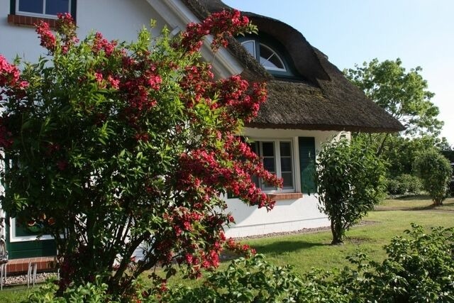 Ferienwohnung in Born a. Dar&szlig; - Moin Moin - Bild 16