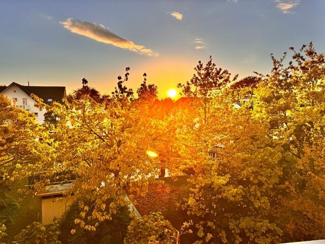 Ferienwohnung in K&uuml;hlungsborn - Strandstr. 16 - 29-34 - Bild 15