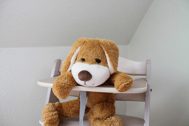 Ferienwohnung in Prerow - Buchentraum 1/4 - Bild 12