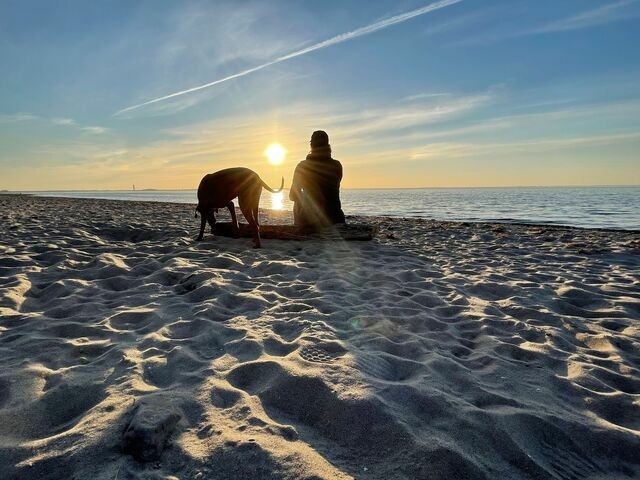 Ferienhaus in Barendorf - Harkensee -Dassow - Haus Schwalbennest - Bild 21