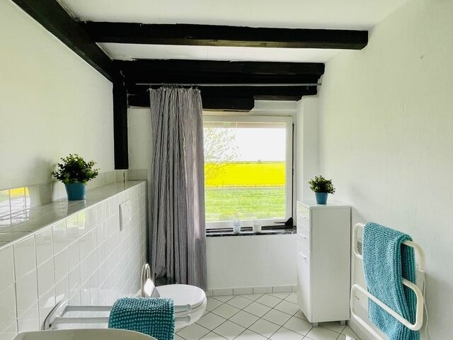 Ferienwohnung in Neuhof - Feriengut Neuhof Wohnung 9 - Bild 5