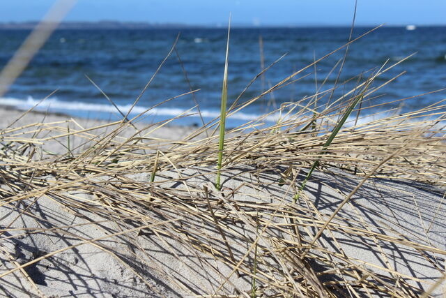 Ferienwohnung in Barendorf - Harkensee -Dassow - Haus Schwalbennest - Whg. - Bild 11
