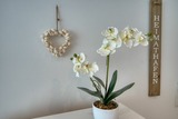 Ferienwohnung in Heiligenhafen - Ferienpark - Haus O, App. 0OEG04 - Bild 13