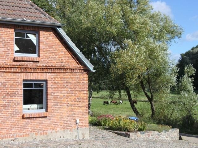 Ferienhaus in Zierow - Ferienhaus "Nele" - Bild 9